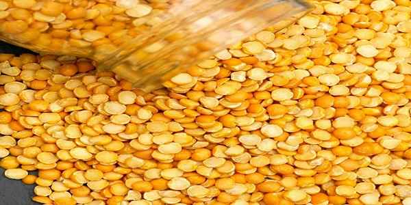 تصویر 2 از قیمت لپه ریز آرتمیس + خرید باور نکردنی